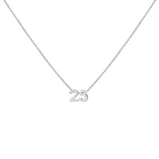 Lucky Number 25 Necklaces for Lover Silver Plated Pendant Necklace for Women Bir