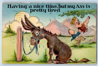 Humor Postcard Donkey Having A Nice Time But My Ass Is Pretty Tired Denver CO