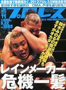 WEEKLY PRO-WRESTLING 2013 May 22 Japan Book Magazine Japanese book form JP