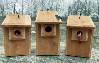 3 Brand New Cedar Bird Houses, Bluebird, Wren & Chickadee, Natural or Scorched