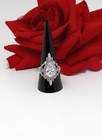 Sterling Silver Nwot Vanna K Sparkling Cz 7.95g Ring size 8 Cat Rescue