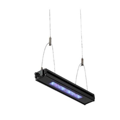 Meridian Edge 12 LED Bar - Reef Breeders