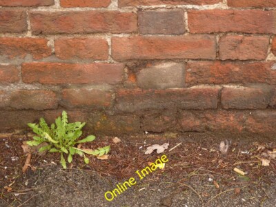 Photo 6x4 Bench mark on Wollaton Park boundary wall Beeston/SK5236 Not e c2014
