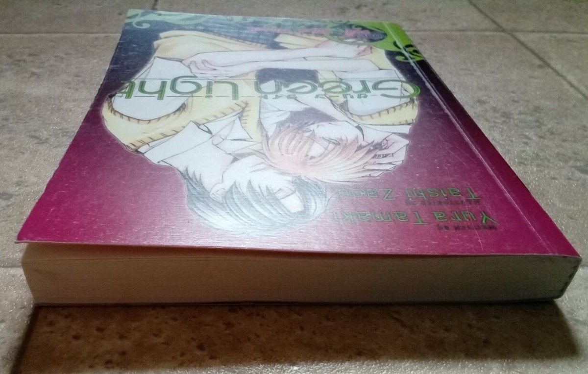 Green Light BL Doki Doki Yaoi Novel English Yura Tamaki Taishi Zaou VERY  GOOD | eBay