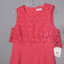 Calvin Klein Dress 10 Crochet Overlay Sheath Career Church Unique Style NWT