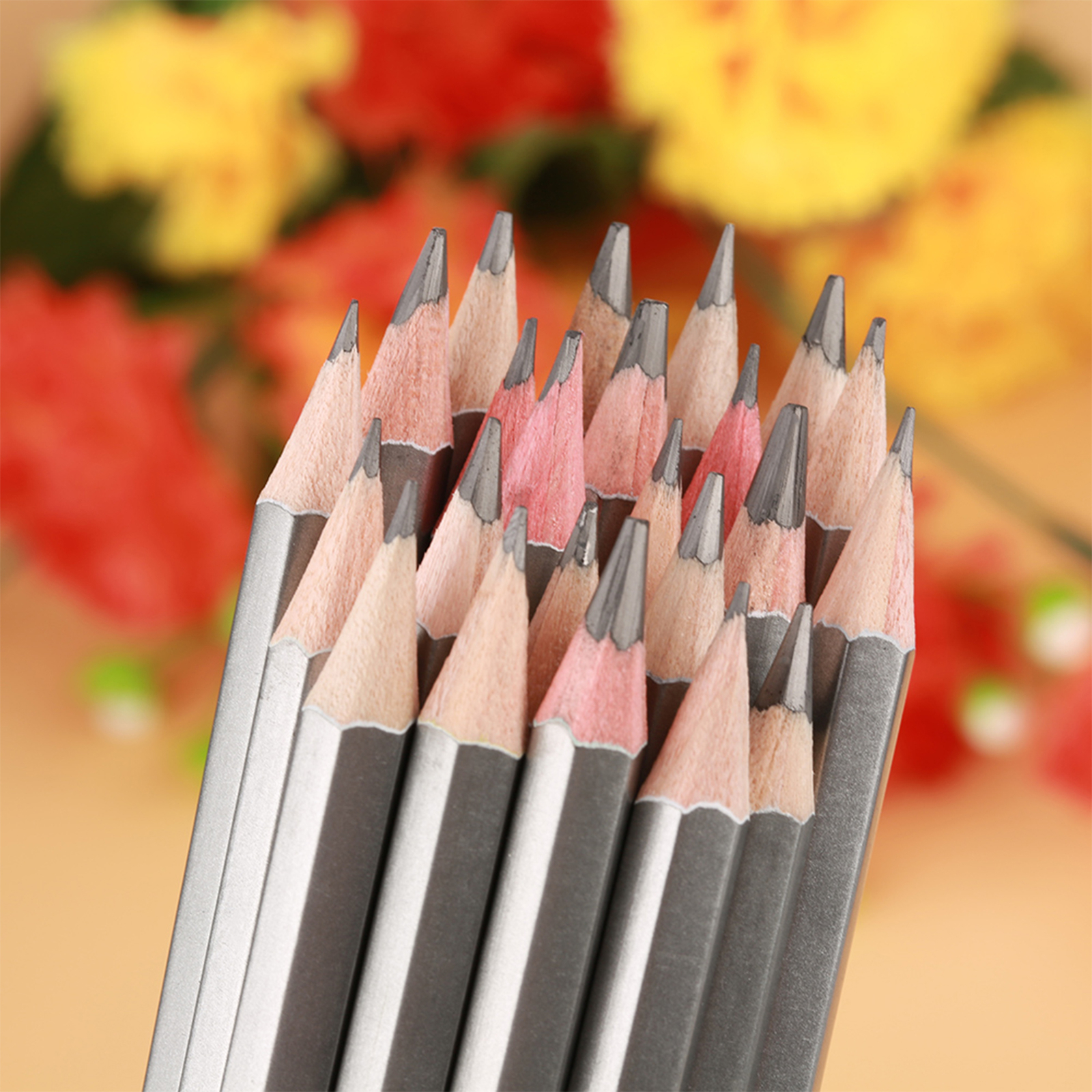 24Pcs Sketch Art Graphite Drawing Pencil Colored Paint Pencil 9H-14B CT0