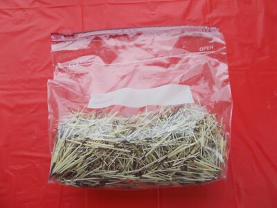 1  oz of Porcupine Wrapping  Quills From Montana measure around 1 1/2''  to 2''