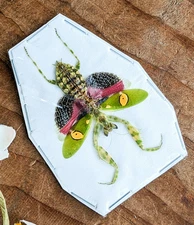 Creobroter Gemmatus Female Flower Mantis One Specimen Spread craft entomology