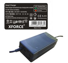 4 Amps Smart Charger for Phantomgogo Commuter R1 - Electric Scooter