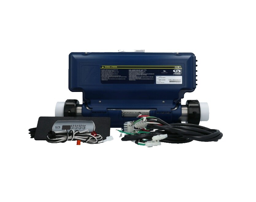 Gecko in Ye 5 | eBay