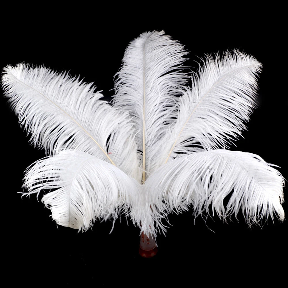 Artificial on sale ostrich feathers