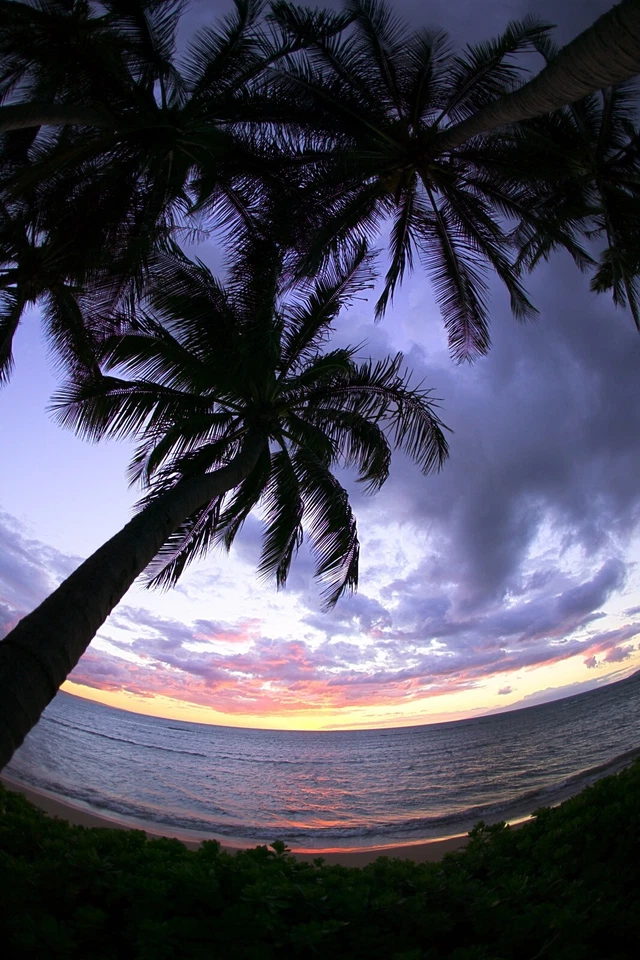 Wide Angle Lens for Olympus C-5000 C5000 - Image 4 of 4