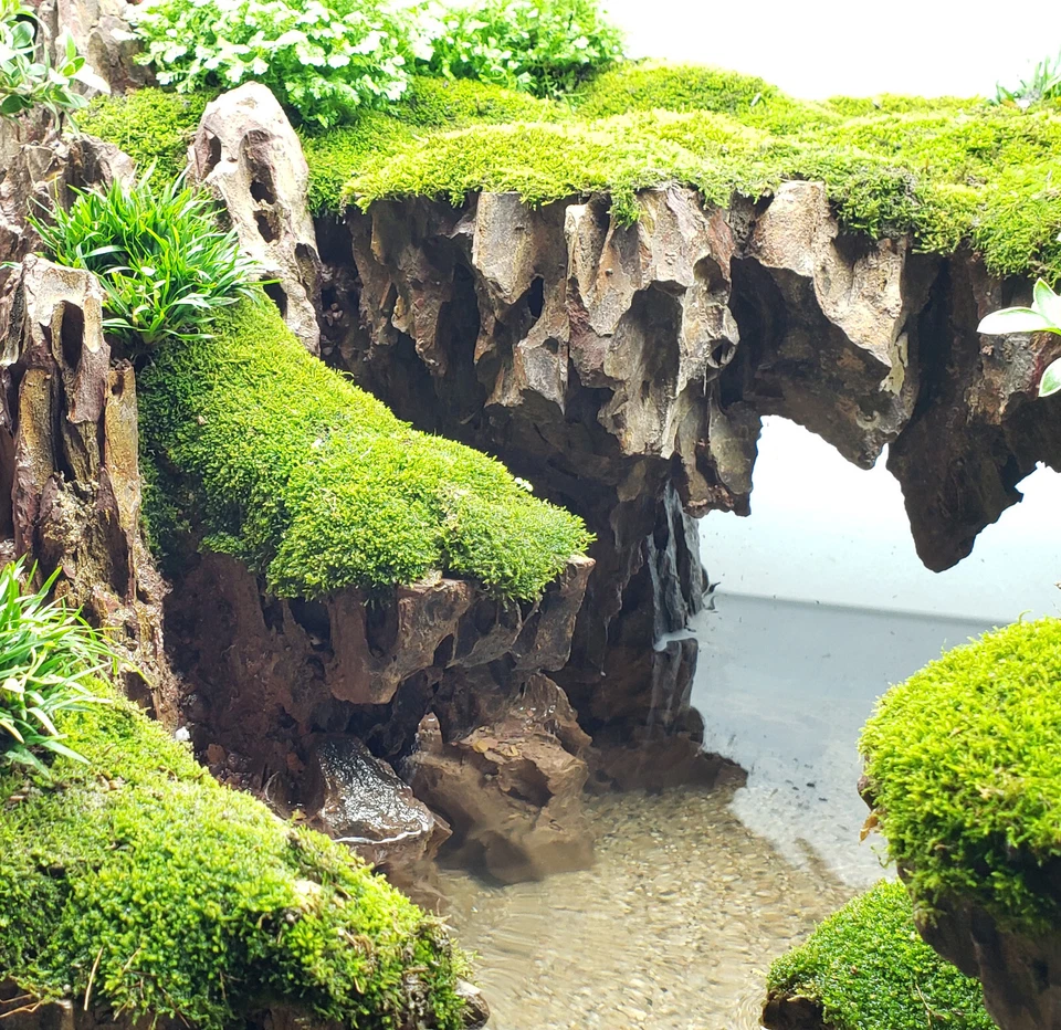 Dragon Stone Ohko Aquascaping Rocks 10 Lbs Box at $4 / Lb Free Shipping - Image 4 of 4