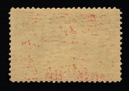 EXCEPCIONAL GENUINO SCOTT #240 COMO NUEVO D-OG (NH) 1893 EDICIÓN DE EXPOSICIÓN COLOMBIANA #20365 - Imagen 2 de 2