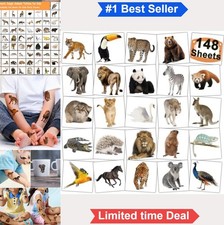 Temporary Tattoos for Kids 148 Safari Jungle Animal Individually Wrapped