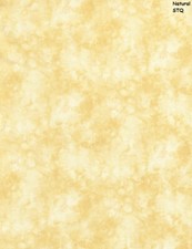 Solid-ish Tone on Tone cotton quilt fabric BTY Timeless Treasure NATURAL cream