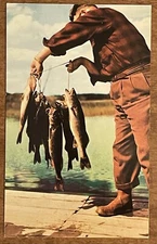 Walleye Pike Catch Fisherman Fishing Great Lakes Region Vintage Chrome Postcard
