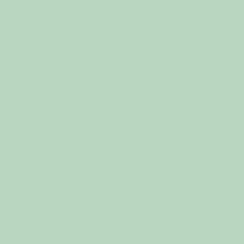 1/4 Yard 9 x43 Riley Blake Confetti Cottons "Sage" Green Solid Quilt Fabric