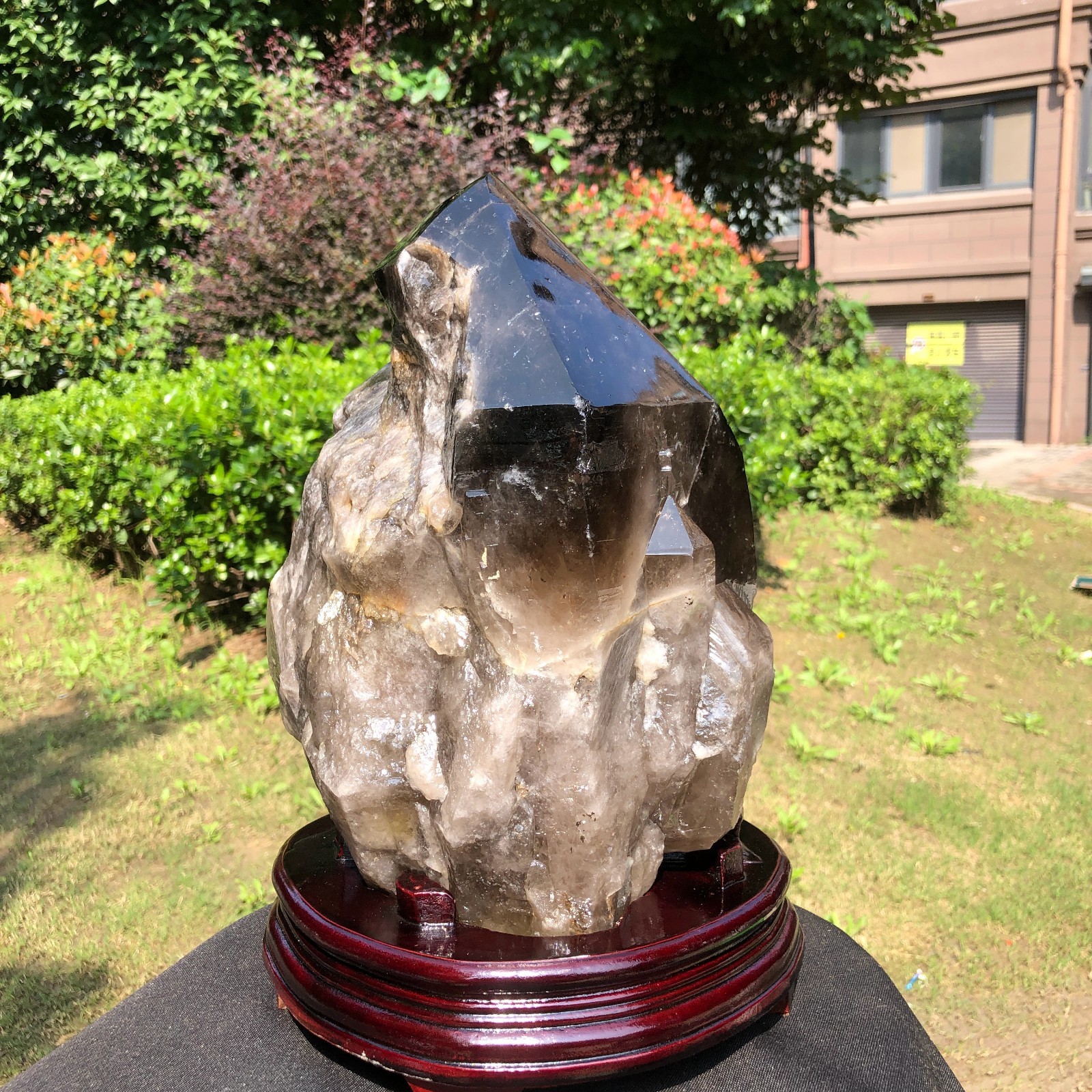 18.61LB Natural Black Crystal Specimen Quartz Crystal Specimen Healing 2373