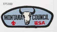 Boy Scout CSP Montana Coucnil