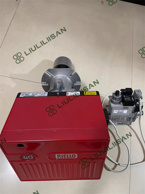 New Riello GS10 Gas Burner Free delivery
