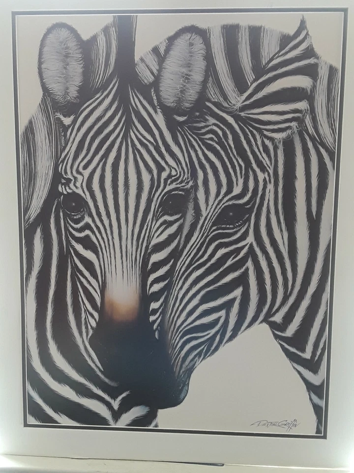 perfect 36x24 Print on Poster board "Zebra" Size 28X22 - Image 4 of 4