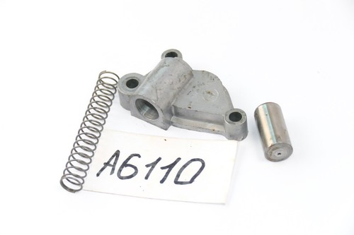 BMW R 1100 S R2S 259 2000 - Steuerkettenspanner A6110