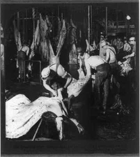 8" x 10" Photo Meat Packing Industry,Chicago,Illinois,c1906