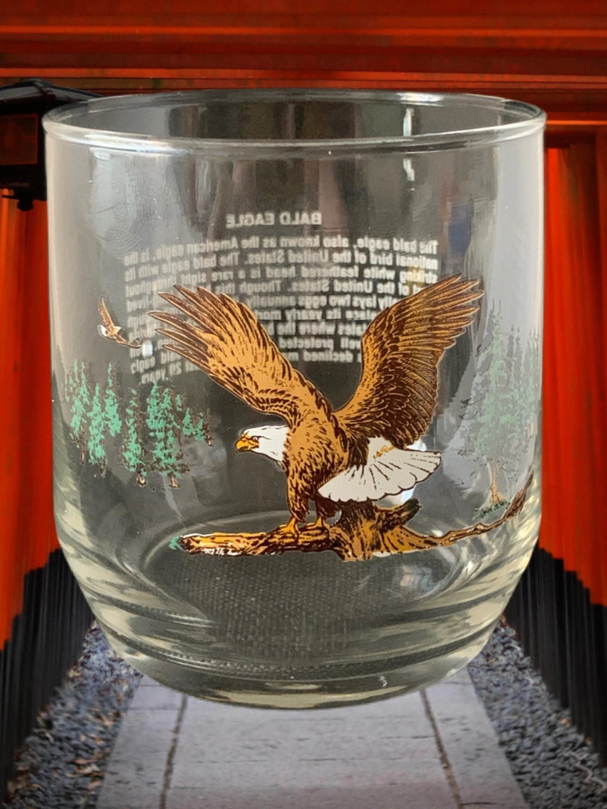 Vintage American Wildlife Rocks Glass Bald Eagle Sunoco