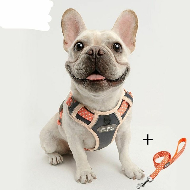 Nylon Dog Harness No Pull French Bulldog Puppy Harness Vest Dog Leash