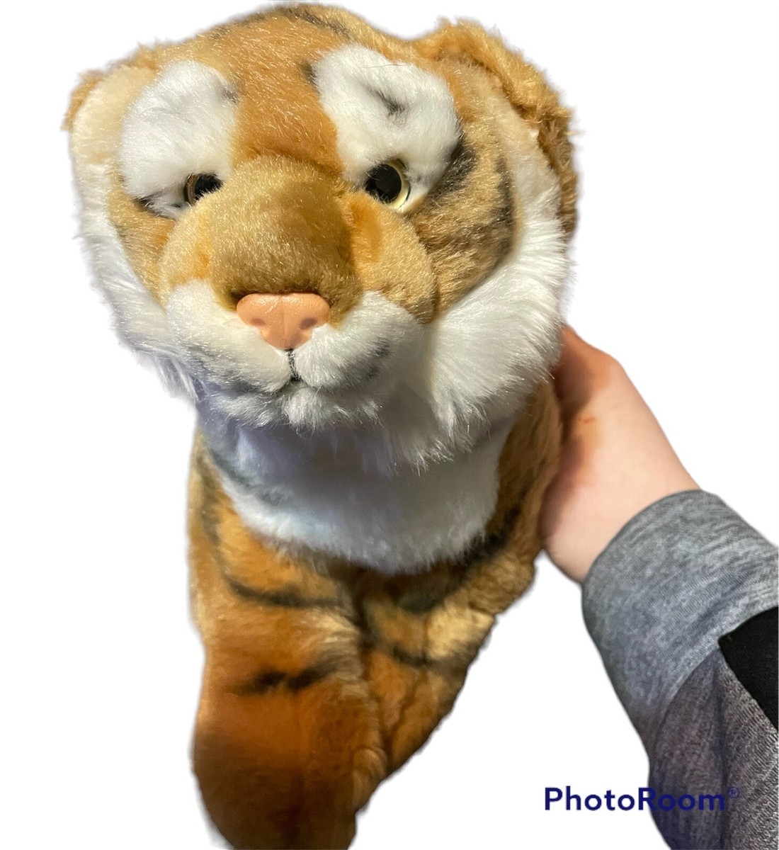 Webkinz Signature Endangered Bengal Tiger -No Code | eBay Webkinz Signature Endangered Bengal Tiger -No Code | eBay