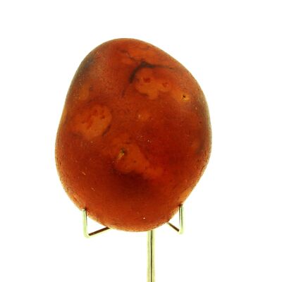 Steine und Mineralien. Cornaline. 941,0 ct. Madagaskar.
