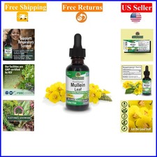 Alcohol-Free Mullein Leaf Extract for Respiratory Support - 1oz, Non-GMO