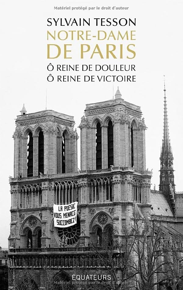 Sylvain Tesson Notre-Dame de Paris - O reine de douleur, ô reine de  (Tascabile)