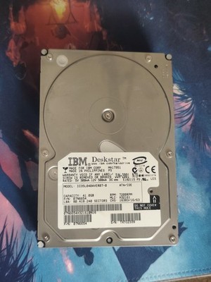 IBM Deskstar 40GB 41,0GB PATA IDE Festplatte 3.5'' 7200RPM IC35L040AVER07 Retro
