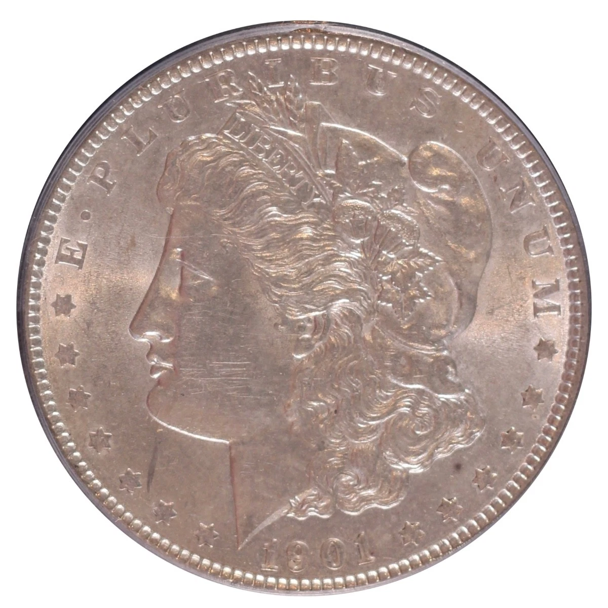 MS 61 Graded 1901 Year Morgan US Dollars (1878-1921) for sale | eBay