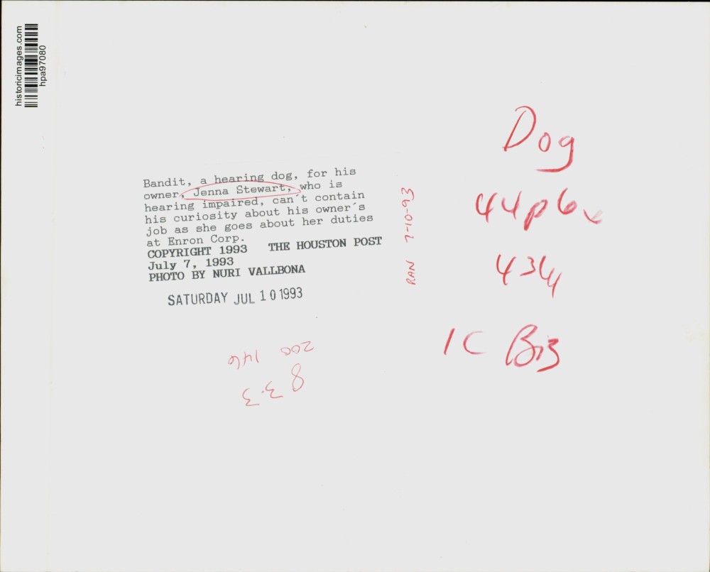 1993 Press Photo Bandit helps his owner Jenna Stewart work at Enron Corporation.