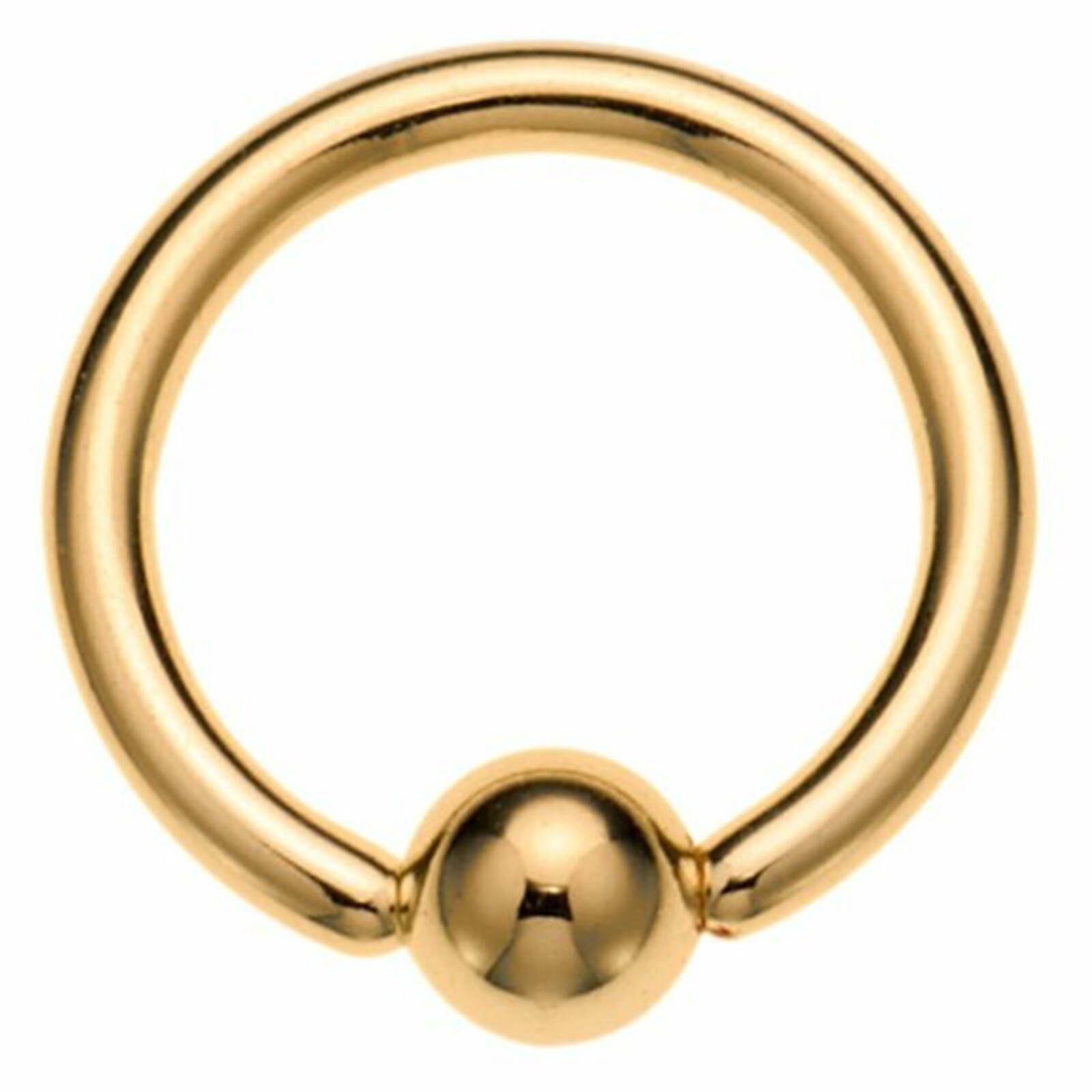 Eyebrow Captive Ring Lip Rook Snug Cartilage Piercing Hoop Anodized Gold 16g 8mm