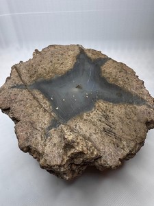 Petrified Wood Slab w/ Chalcedony Center Polished 429g – Estate Collection