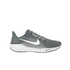 Nike Air Zoom Pegasus 41 Cool Grey Wolf Grey FD2722-009 Authentic Men Sneakers