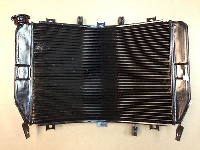 エンベリエ 2003-2004 Kawasaki Ninja ZX6R ZX636 ZX6RR ZX600 OEM REPLACEMENT