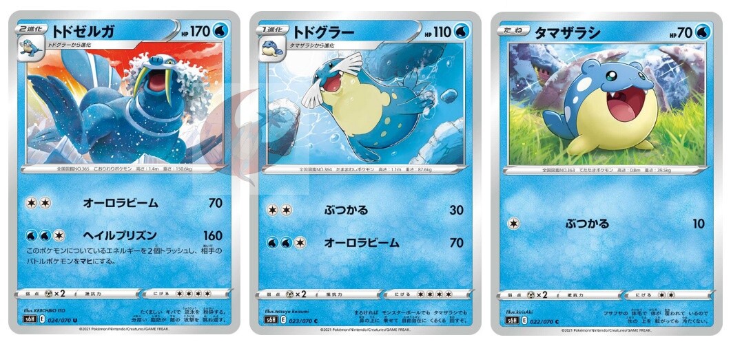 Pokemon card s6H 024/070 Walrein Evolution Set Sword & Shield 