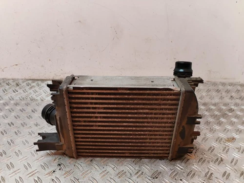 144965154R Intercooler para DACIA DOKKER SL Eficacia 2016 130381 - Imagen 1 de 7