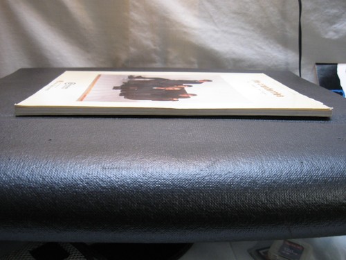 The Cranberries -- No Need to Argue: Piano/Vocal/Chords Paperback - Picture 4 of 12