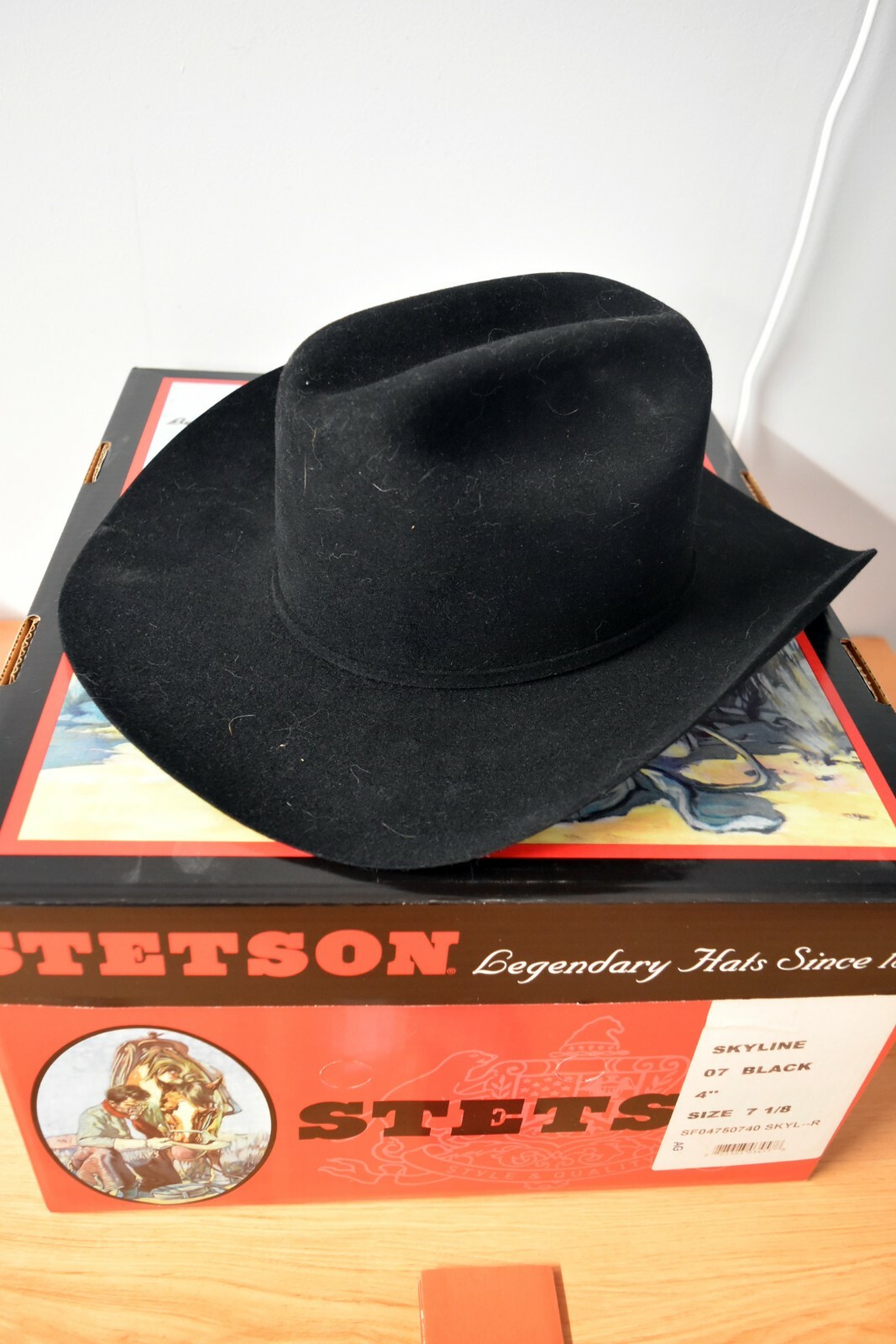 Купить STETSON SKYLINE 4X BEAVER FUR 