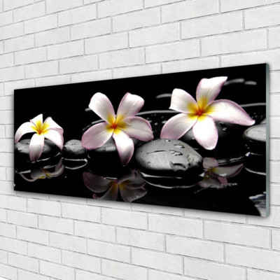 Glasbilder Wandbild Druck auf Glas 125x50 Blumen Steine Pflanzen
