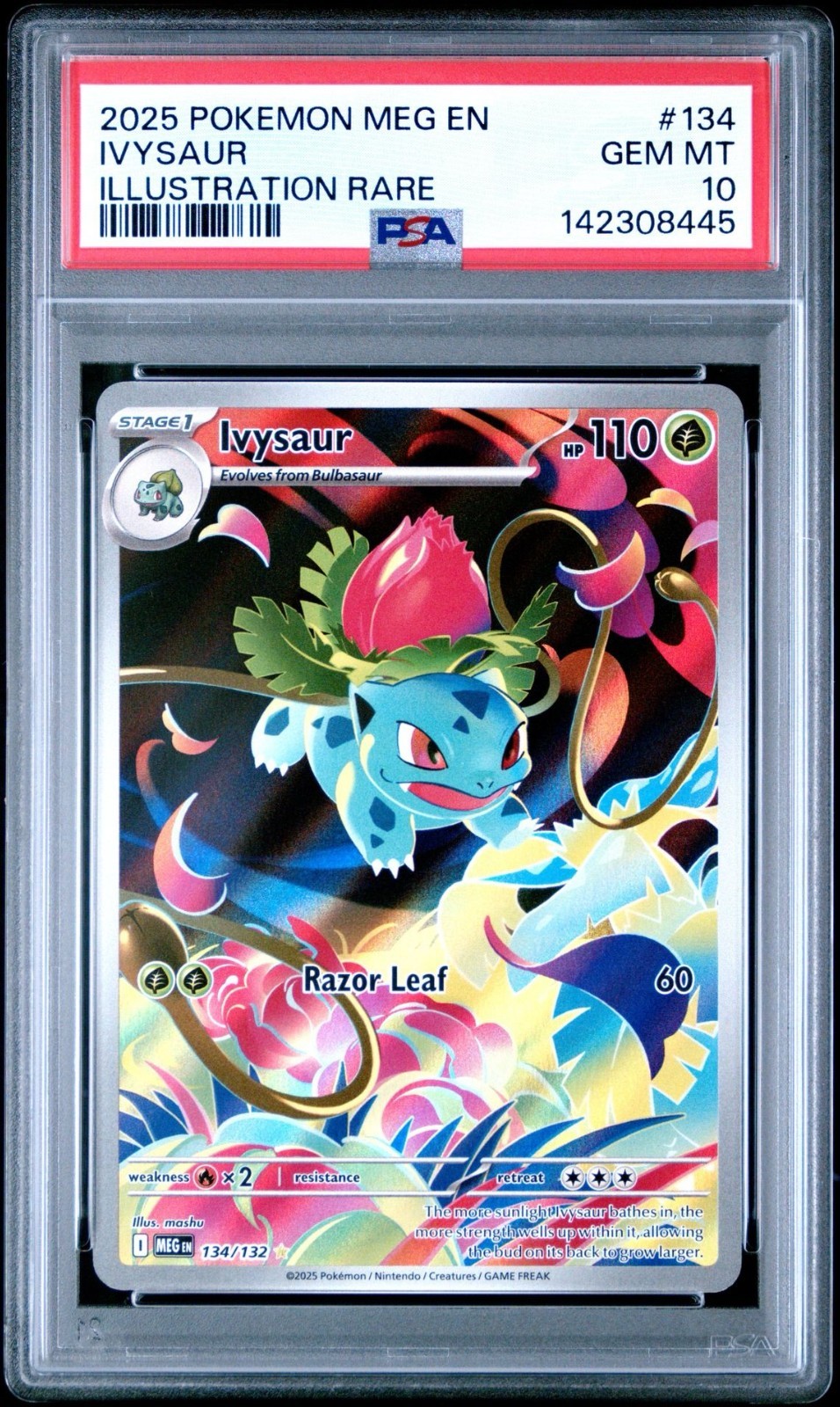2025 POKEMON MEG EN-MEGA EVOLUTION ILLUSTRATION RARE #134 IVYSAUR PSA 10