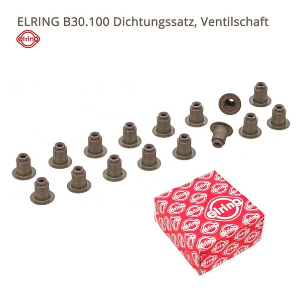 Dichtungssatz Ventilschaft FüR VW Ford 2.0 TDI Elring B30.100 0Xw109675B(16X) GK-image