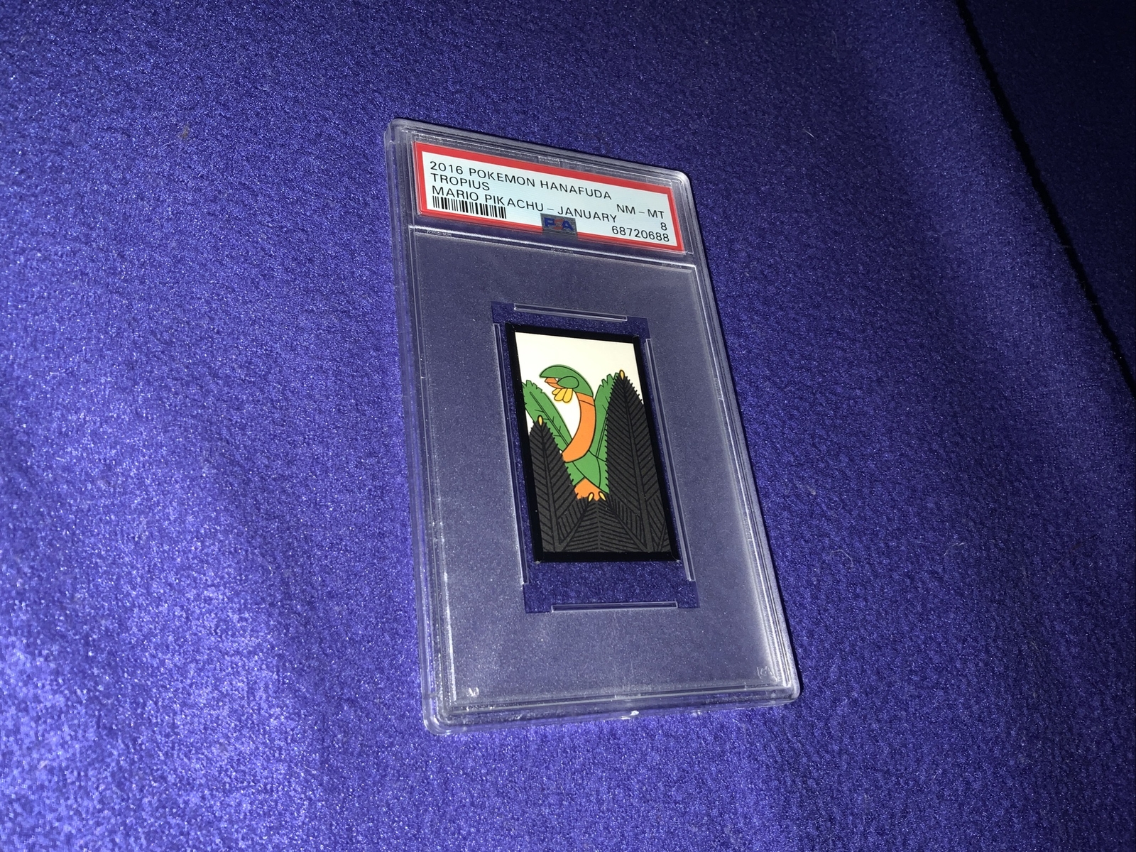 PSA 8 Tropius Pokemon Mario Pikachu Hanafuda Japanese Card 2016 January