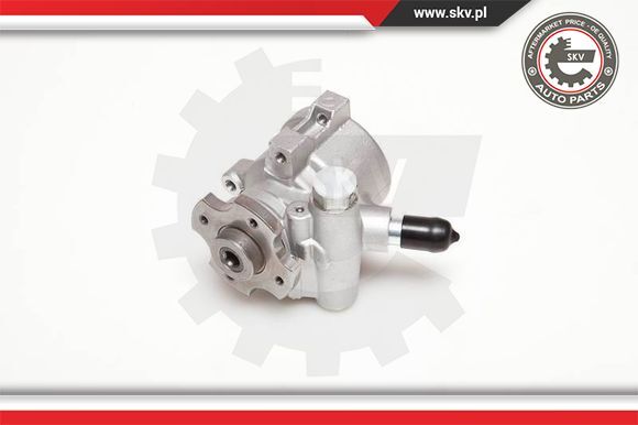 Esen SKV Servopumpe FüR CitroëN Berlingo Kasten Peugeot 306 Cabriolet 10SKV178-image